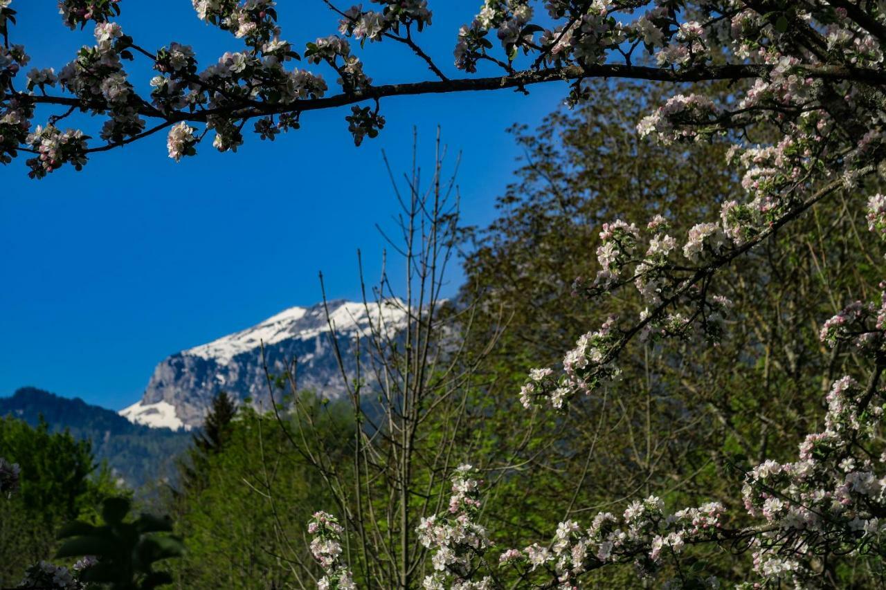 Вилла La Fraceline Saint-Pierre-d'Entremont  Экстерьер фото